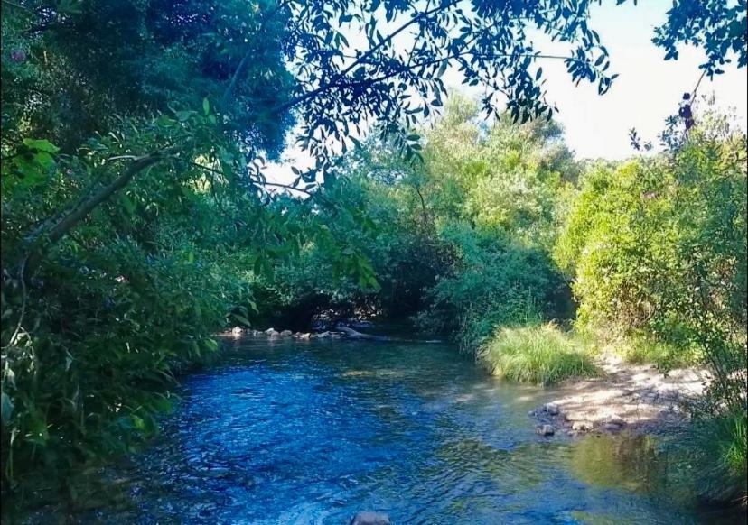 La Buhardilla de Torrecillas El Bosque Exterior foto